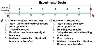 Effects of Complementary Feeding With Different Protein-Rich Foods on Infant Growth and Gut Health: Study Protocol